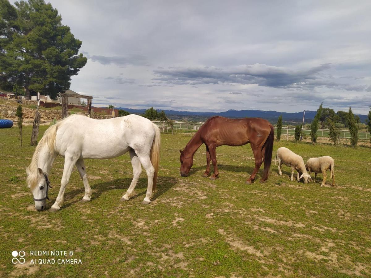 Casa Con Vistas, Piscina Y Animales De Granja, La Caseta Tarragona Luaran gambar