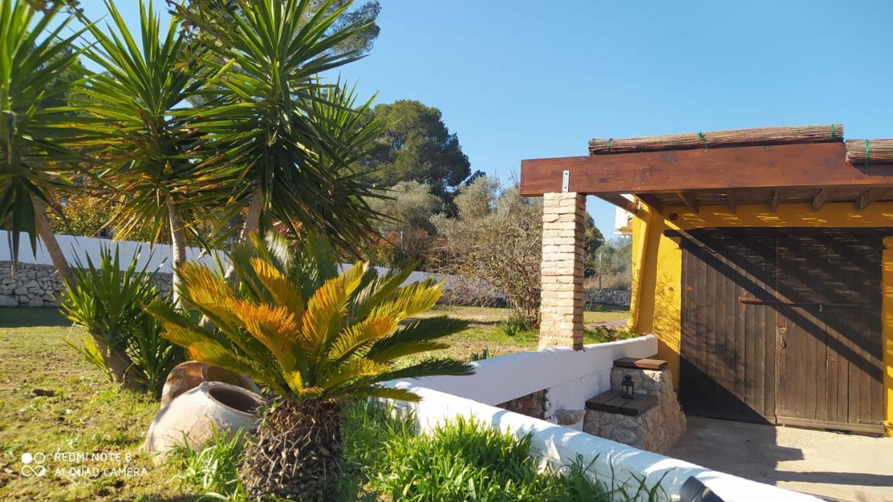 Casa Con Vistas, Piscina Y Animales De Granja, La Caseta Tarragona Luaran gambar