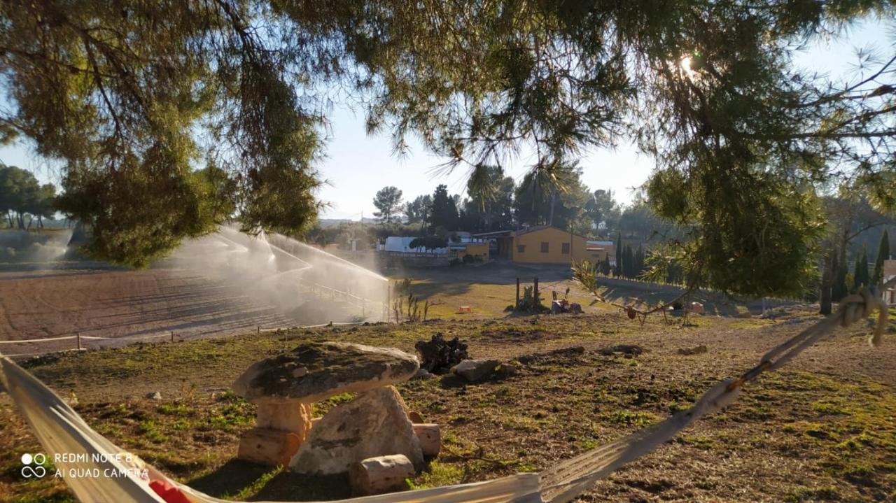 Casa Con Vistas, Piscina Y Animales De Granja, La Caseta Tarragona Luaran gambar