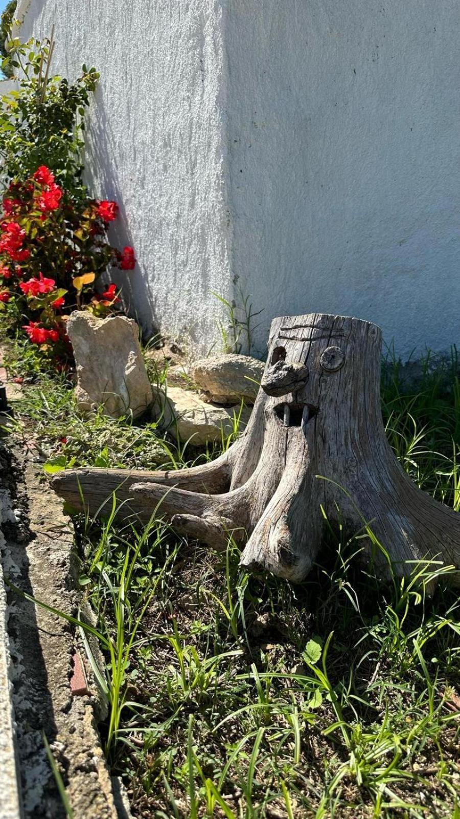 Casa Con Vistas, Piscina Y Animales De Granja, La Caseta Tarragona Luaran gambar
